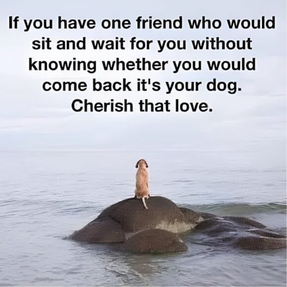 8x10 photo high gloss - Picture 1 of 1